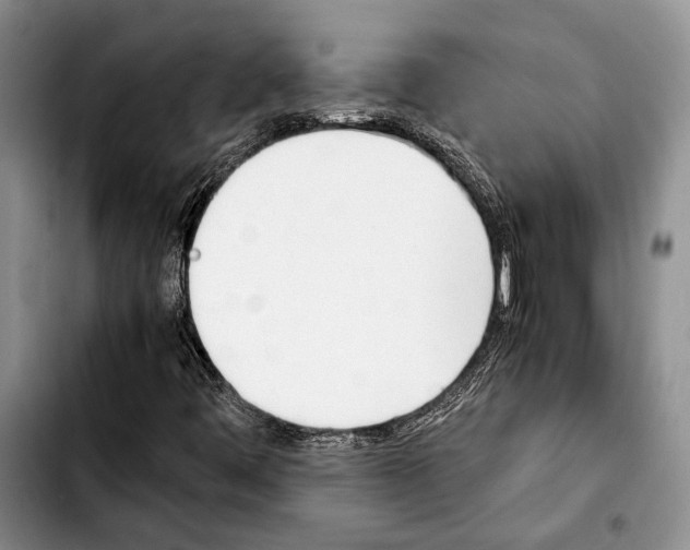 X0000103901444200810101234