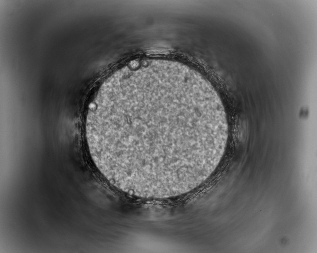 X0000103901445200810101234