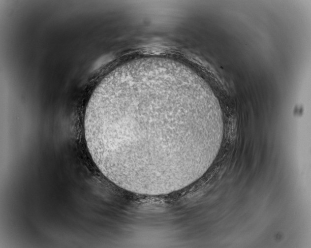 X0000103901446200810101234