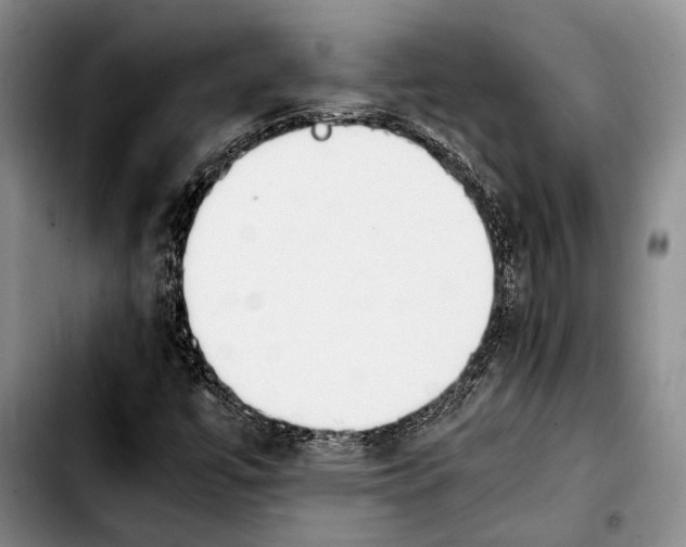 X0000103901447200810101234