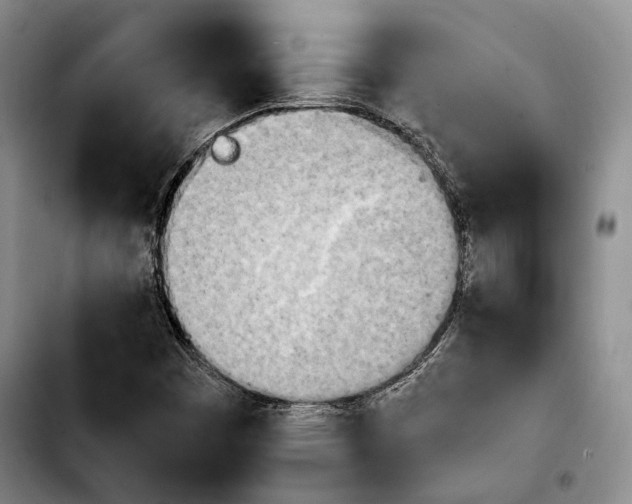 X0000103901449200810101234