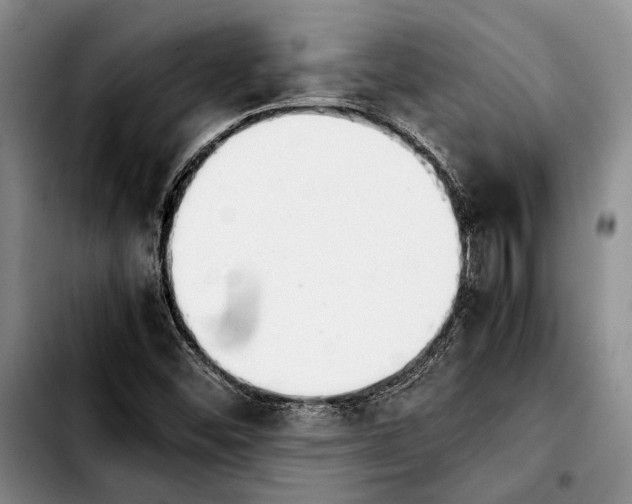 X0000103901452200810101234