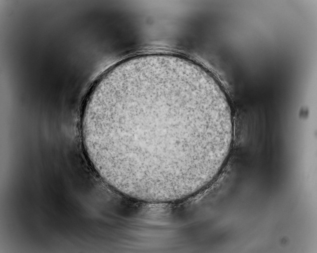 X0000103901453200810101234