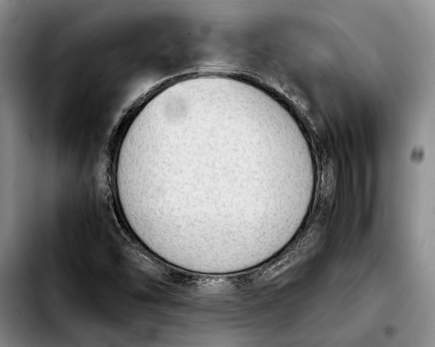 X0000103901454200810101234