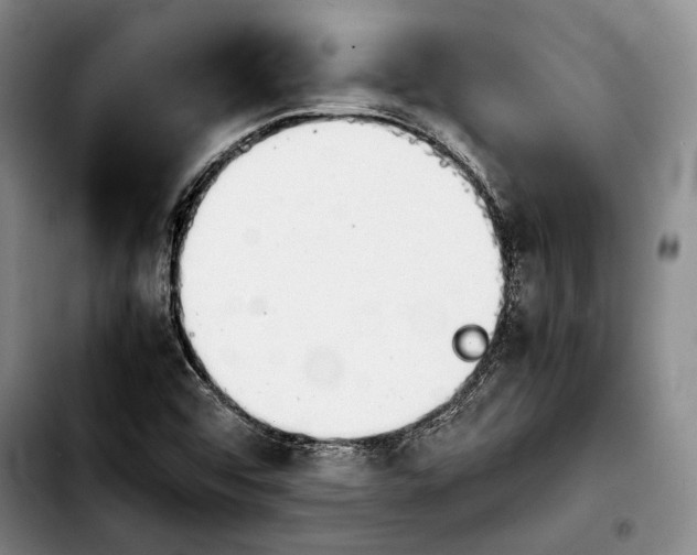 X0000103901456200810101234