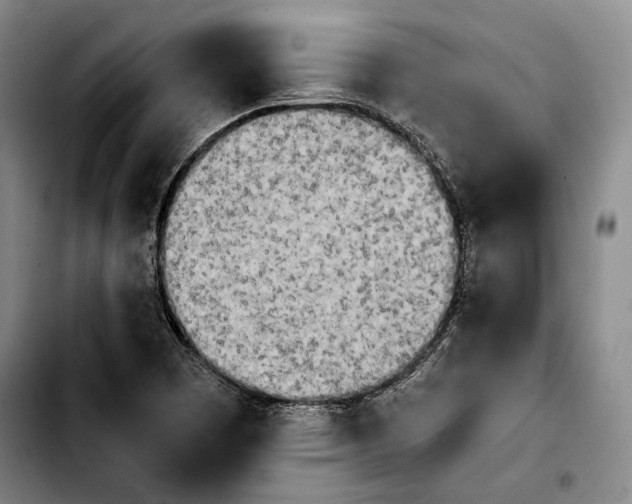 X0000103901457200810101234