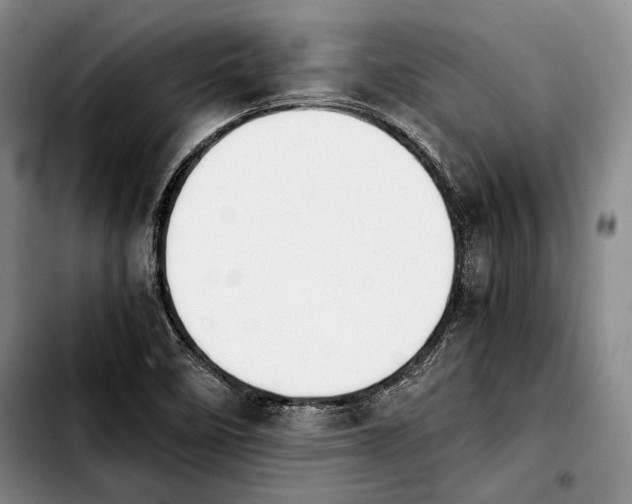 X0000103901458200810101234