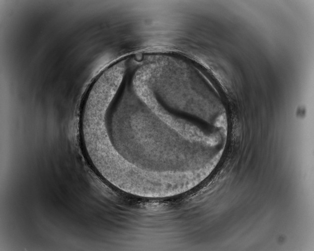 X0000103901459200810101234