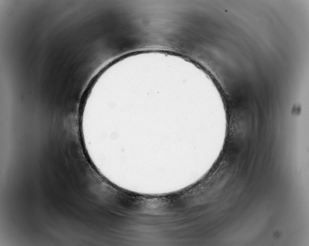 X0000103901460200810101234