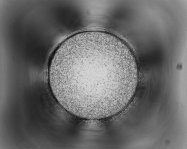 X0000103901461200810101234