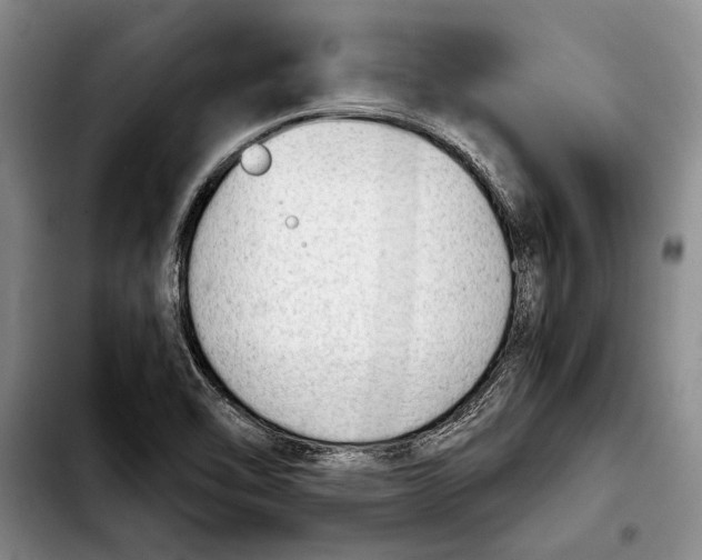 X0000103901462200810101234