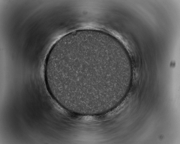 X0000103901463200810101234