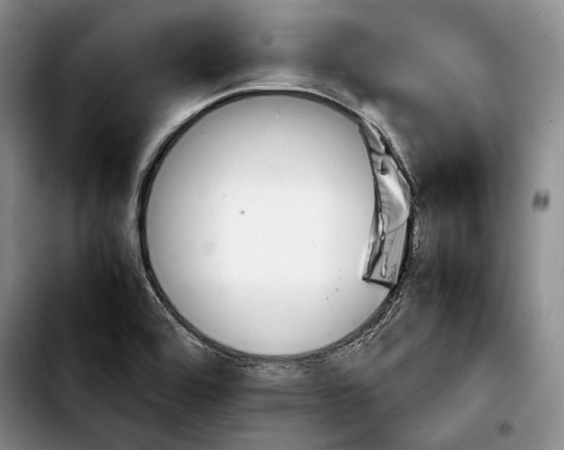 X0000103901464200810101234