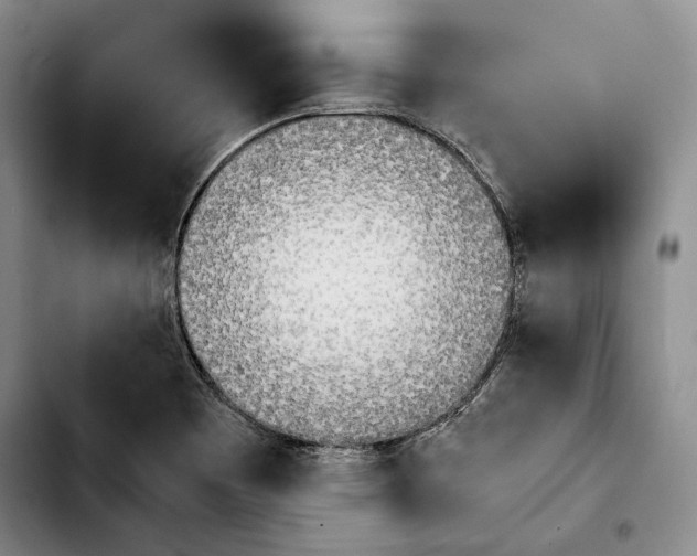 X0000103901465200810101234