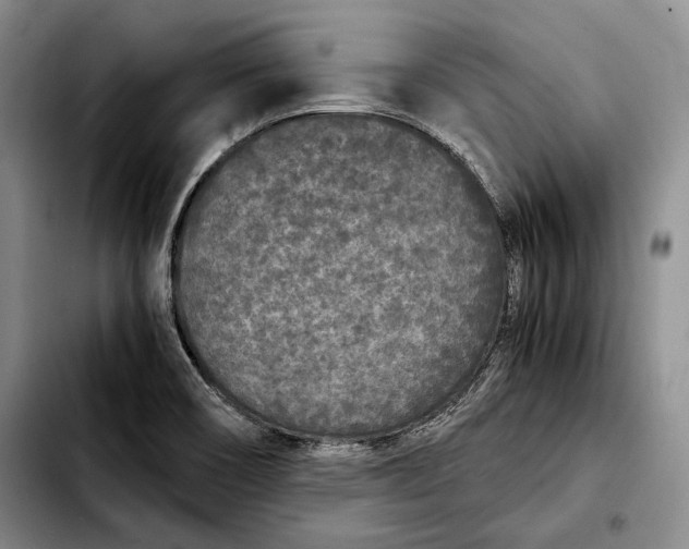 X0000103901466200810101234