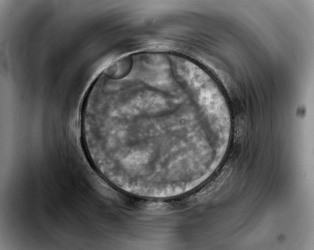 X0000103901467200810101234