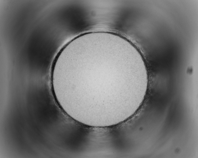 X0000103901469200810101234