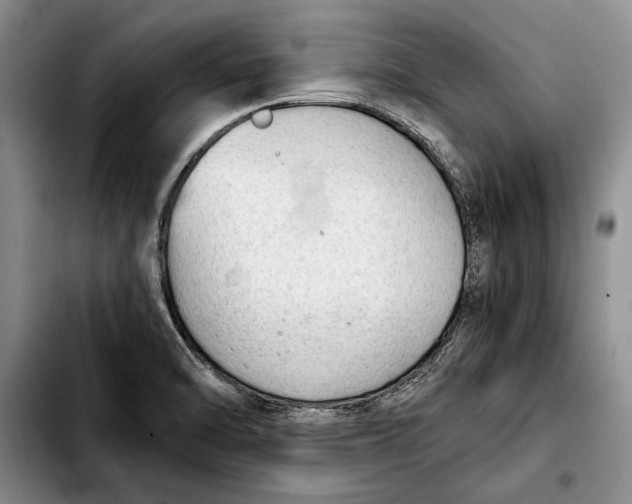 X0000103901470200810101234