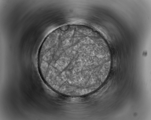 X0000103901471200810101234