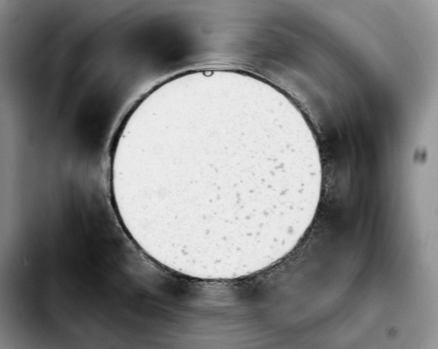 X0000103901472200810101234