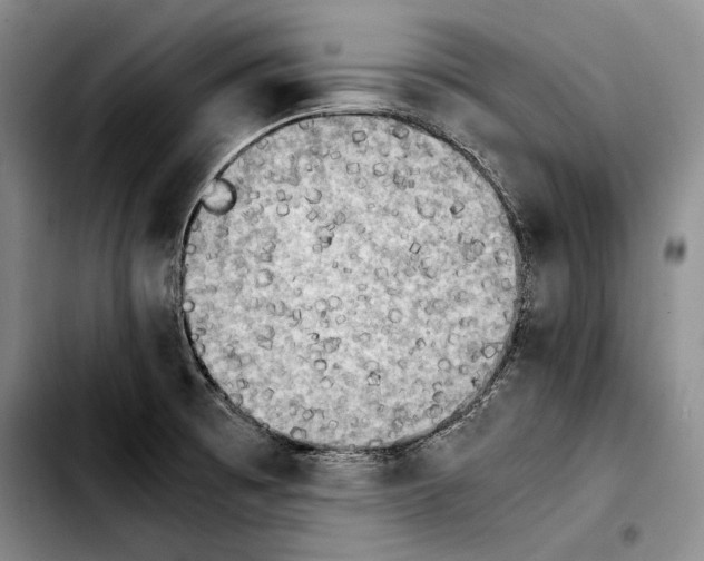 X0000103901473200810101234