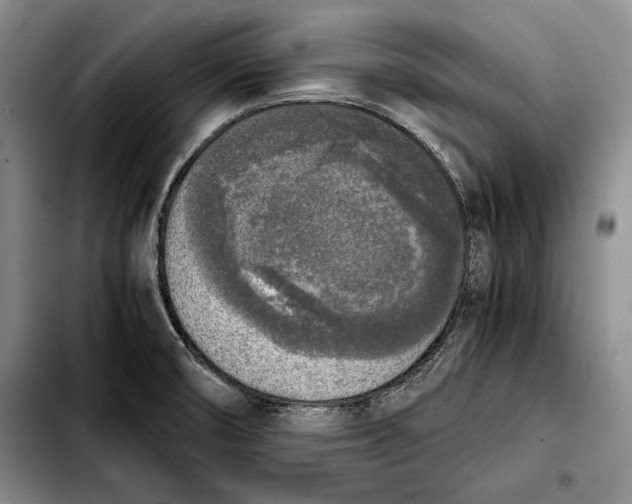 X0000103901474200810101234