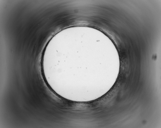 X0000103901475200810101234