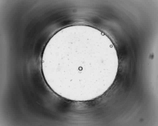 X0000103901476200810101233