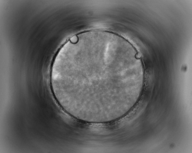 X0000103901477200810101233