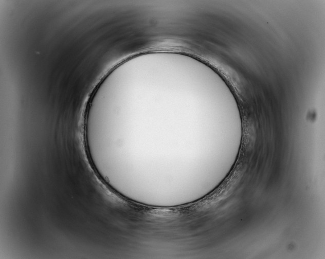 X0000103901478200810101233