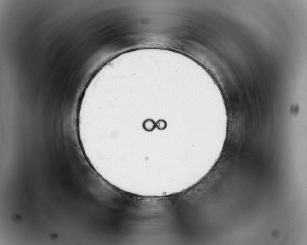 X0000103901480200810101233