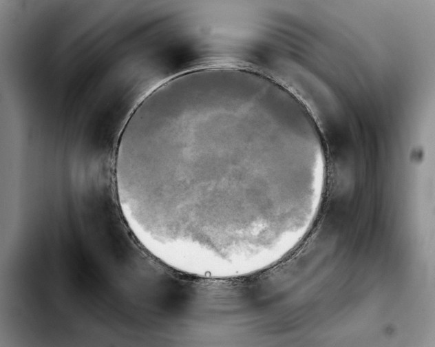 X0000103901481200810101233