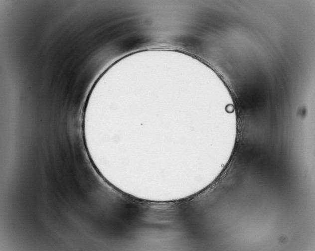 X0000103901484200810101233