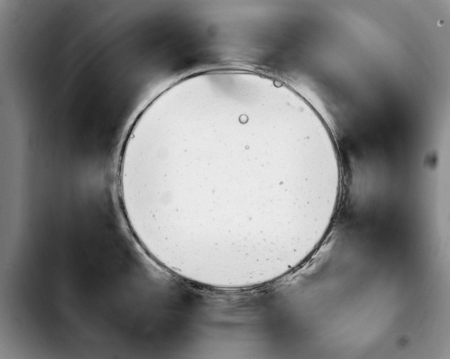 X0000103901485200810101233