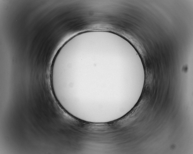 X0000103901486200810101233