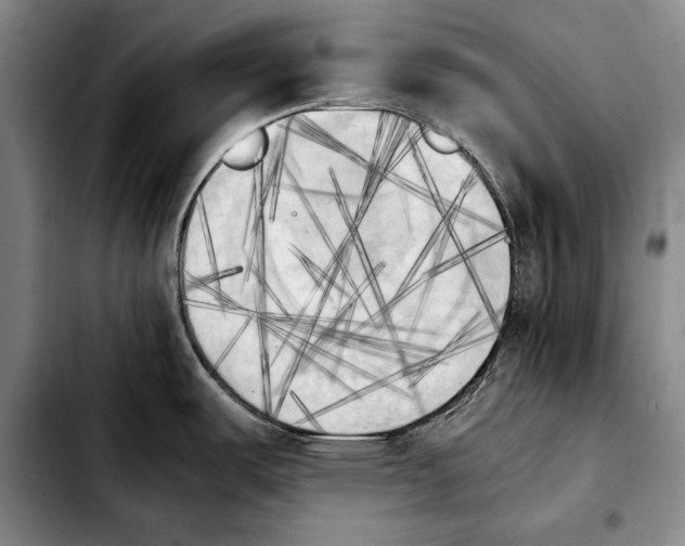 X0000103901487200810101233