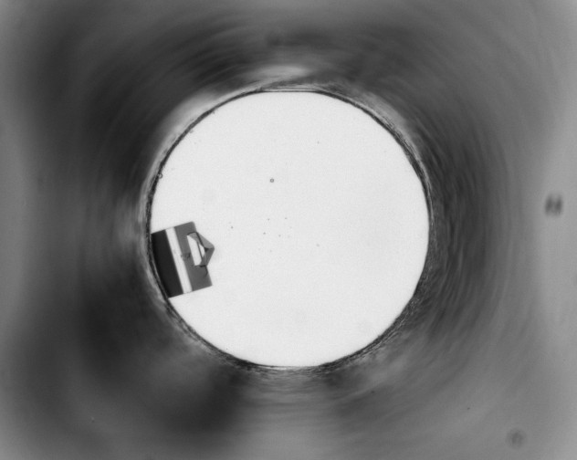 X0000103901488200810101233