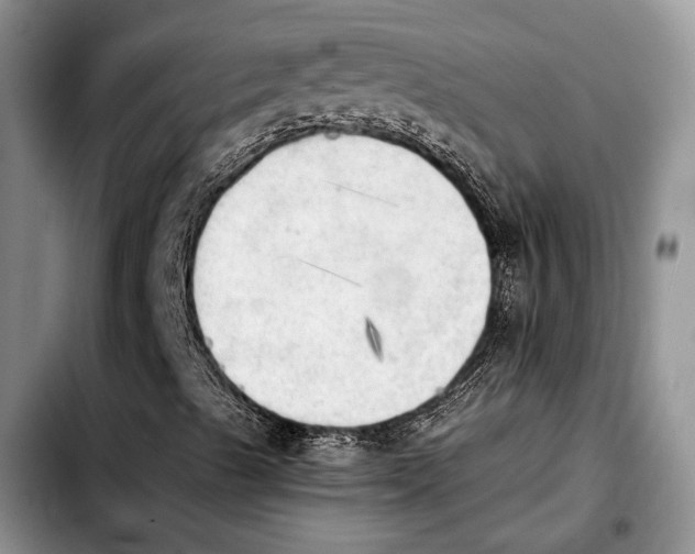 X0000103901489200810101233