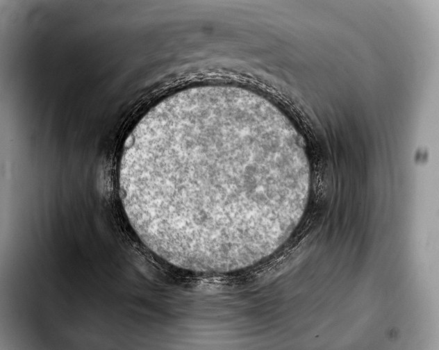 X0000103901490200810101233