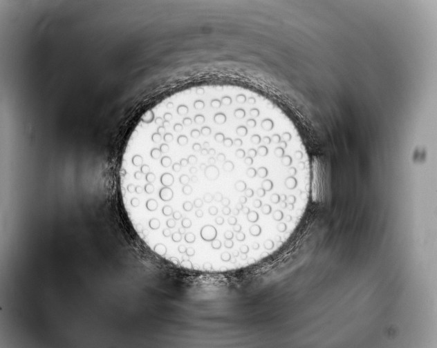 X0000103901491200810101233