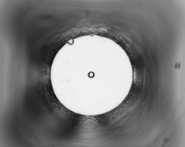 X0000103901492200810101233