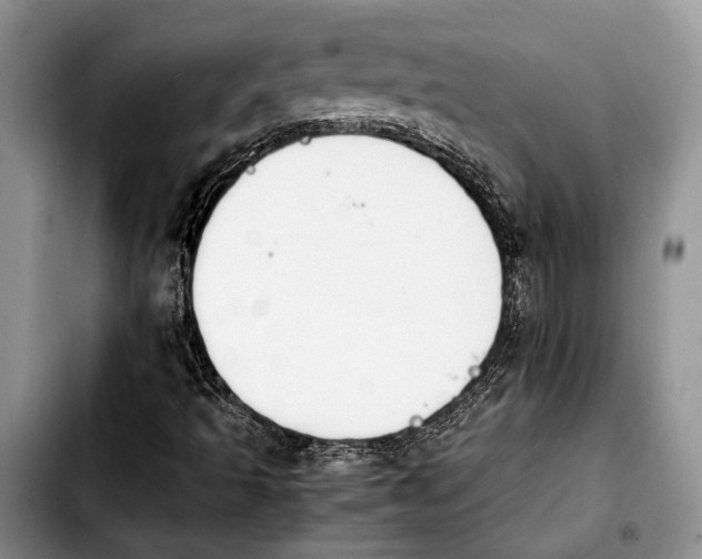 X0000103901493200810101233