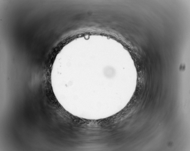 X0000103901495200810101233