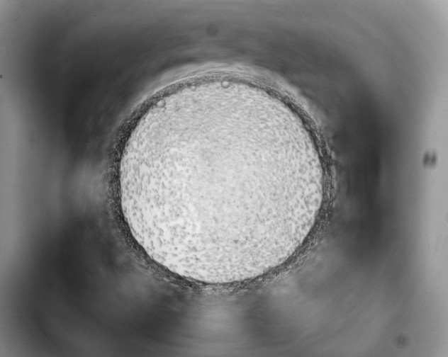 X0000103901496200810101233