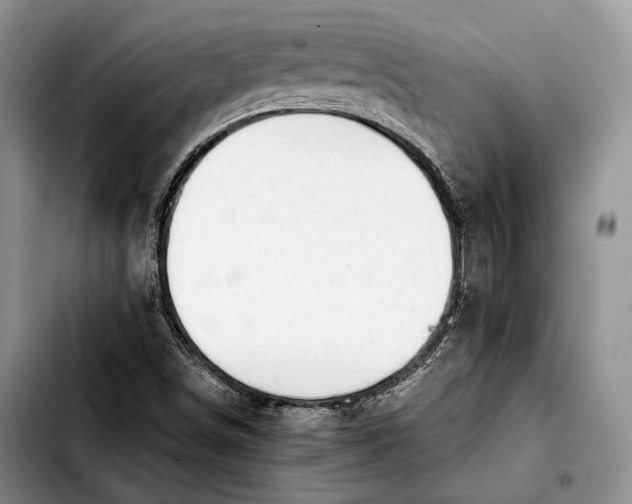 X0000103901498200810101233