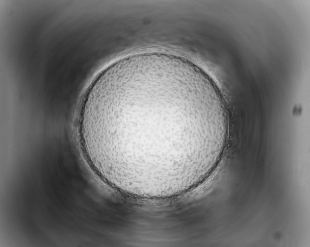 X0000103901500200810101233