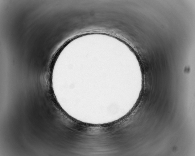 X0000103901502200810101233