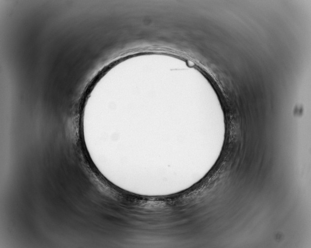 X0000103901503200810101233