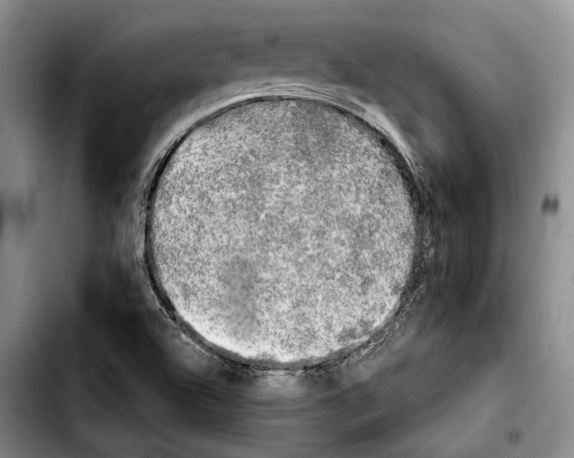 X0000103901504200810101233