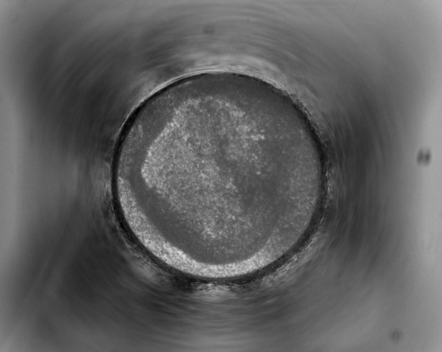 X0000103901505200810101233